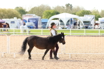 Class 707 - IH Groom - Helpers Glass portfolio