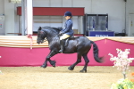 SBM_23991