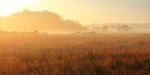 misty glow