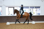 SBM_001956