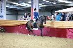 SBM_23402