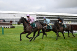 121225-Race 2-Sixmilebridge-4625