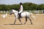 SBM_008217