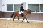 Class 5 - Novice 1 portfolio