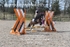 BPP_7962