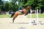 Cls 113 1.10m Amateur Quali portfolio