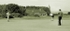 Montrose Open 2008 9