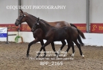 BPP_2165