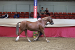 SBM_17434