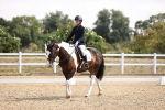 SBM_006563