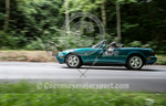 Heritage Charity Hillclimb_2014-196