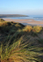 Portrait view of Crantock Beach from The Sand Dunes
