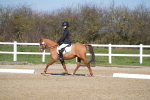 SBM_001967