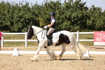 SBM_006551