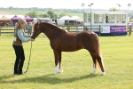 SBM_00701