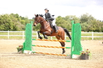 SBM_006215