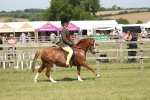 SBM_07677