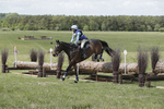 BVHT 140517  IXC -567