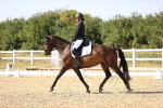 SBM_006729