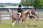 SBM_08083