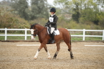 SBM_001384