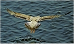 Lift-off