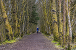 Kielder Ultra-1050