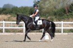 SBM_020194