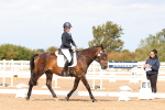SBM_02600