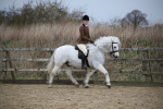 SBM_006048