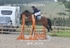 BPP_8978