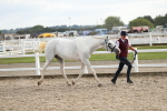 SBM_08555