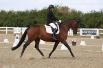 SBM_022026