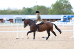 SBM_18351