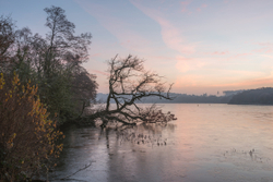 Dawn by the frozen Pond