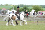 SBM_17656