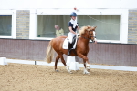 SBM_007666