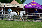 SBM_06022