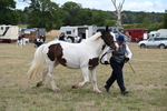 WJ6_5316