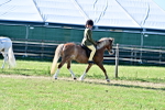 SBM_19853