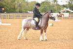 SBM_11284