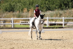 SBM_003363