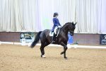 SBM_007911