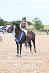 BPP_8993