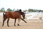 SBM_04507