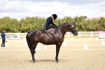 SBM_004936
