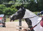 BPP_8634