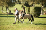 SBM_34239