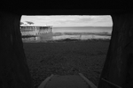 Down to the Beach