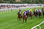 Race 1 13.50pm Sky Bet Mile Handicap portfolio